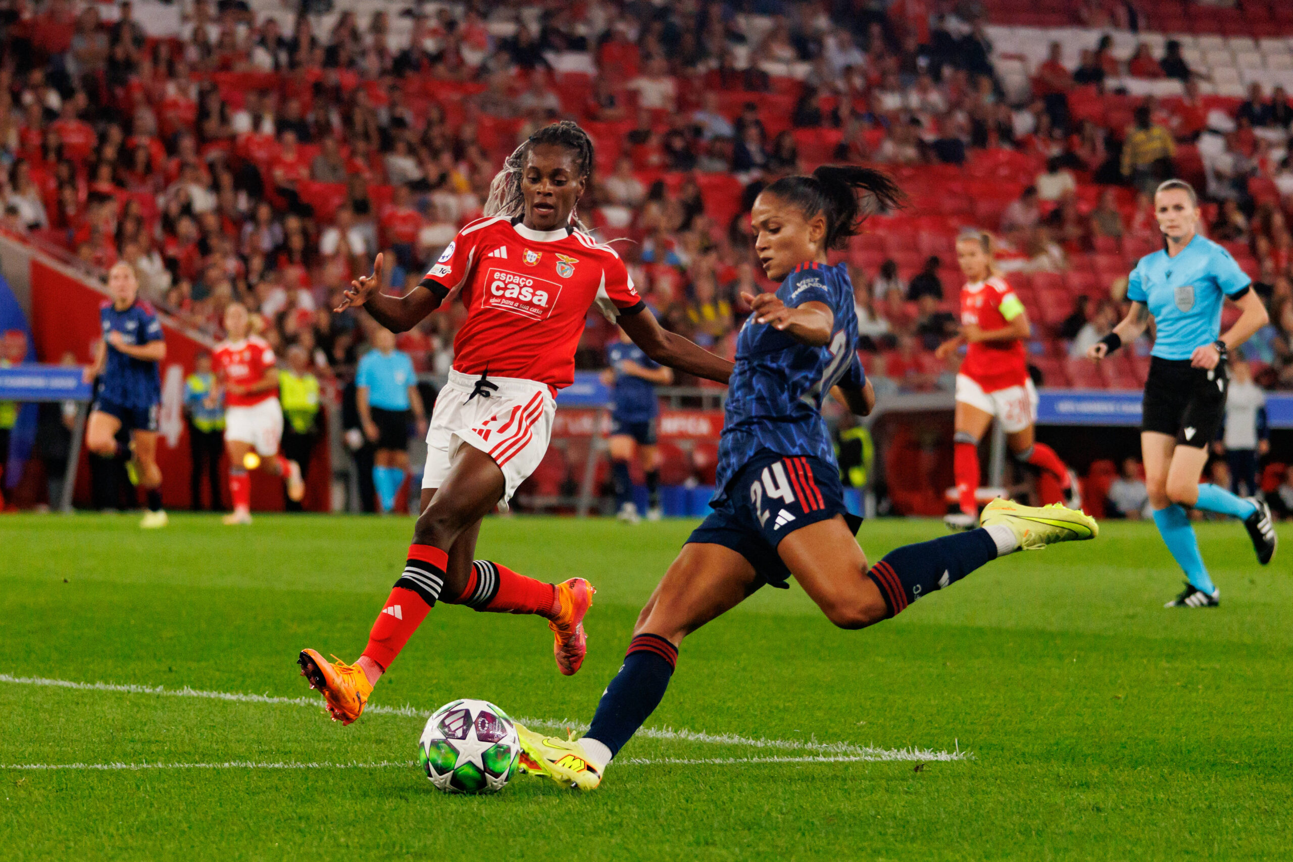 Weekly Round Up to 20/10/25